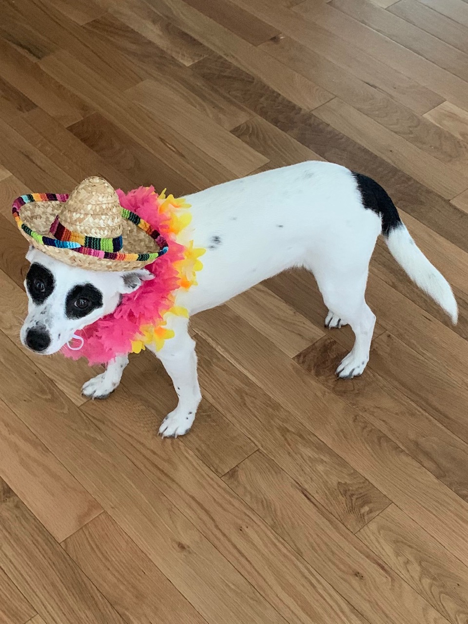 All Play and No Work . .&nbsp;.