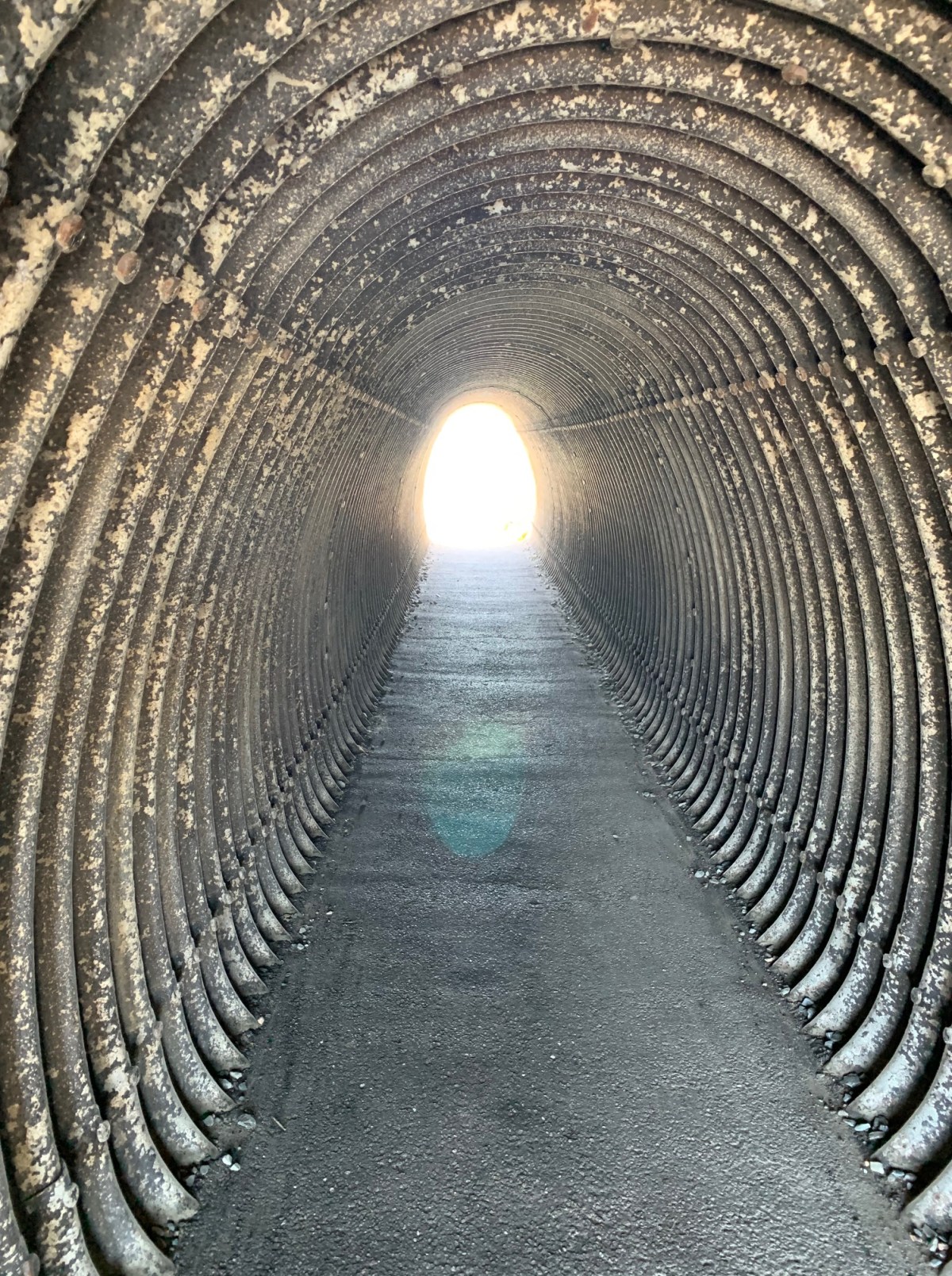 Light at the End of the&nbsp;Tunnel