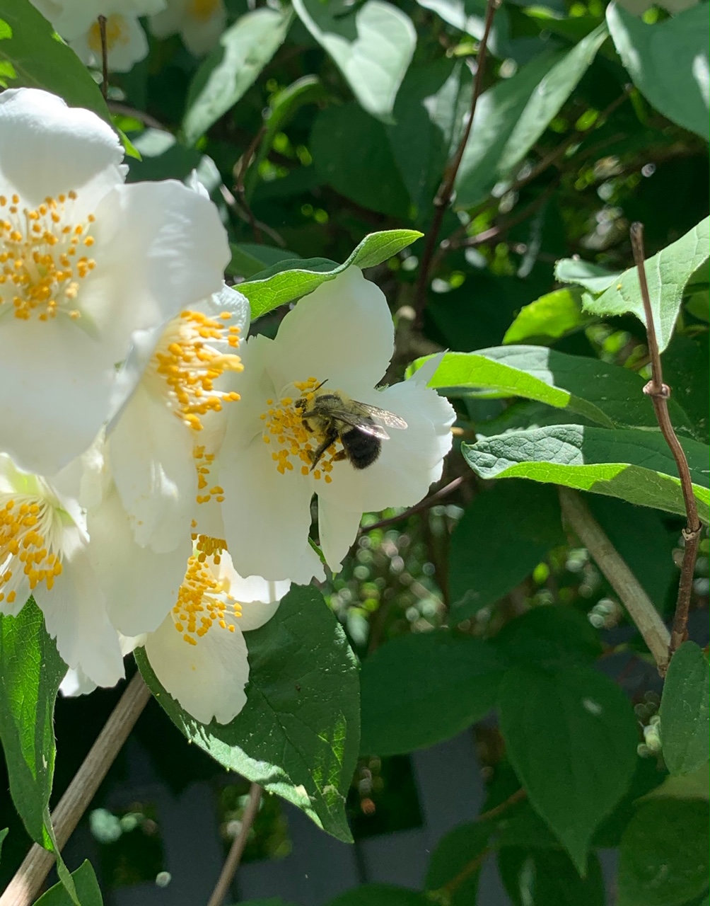 What You (Diligently) Sow is What You&nbsp;Grow