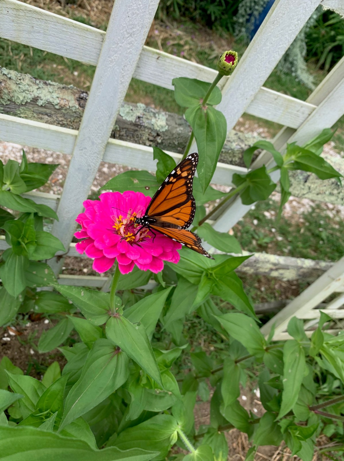 The Power of&nbsp;Thankfulness